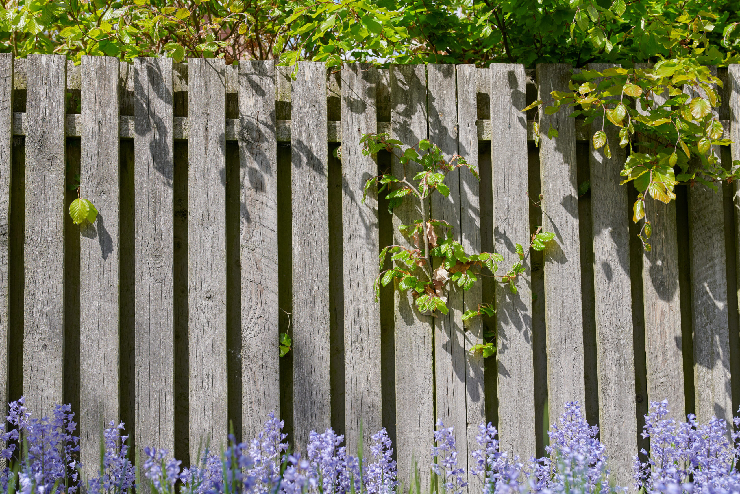 Wooden fence installed at a home in Hythe, Kent