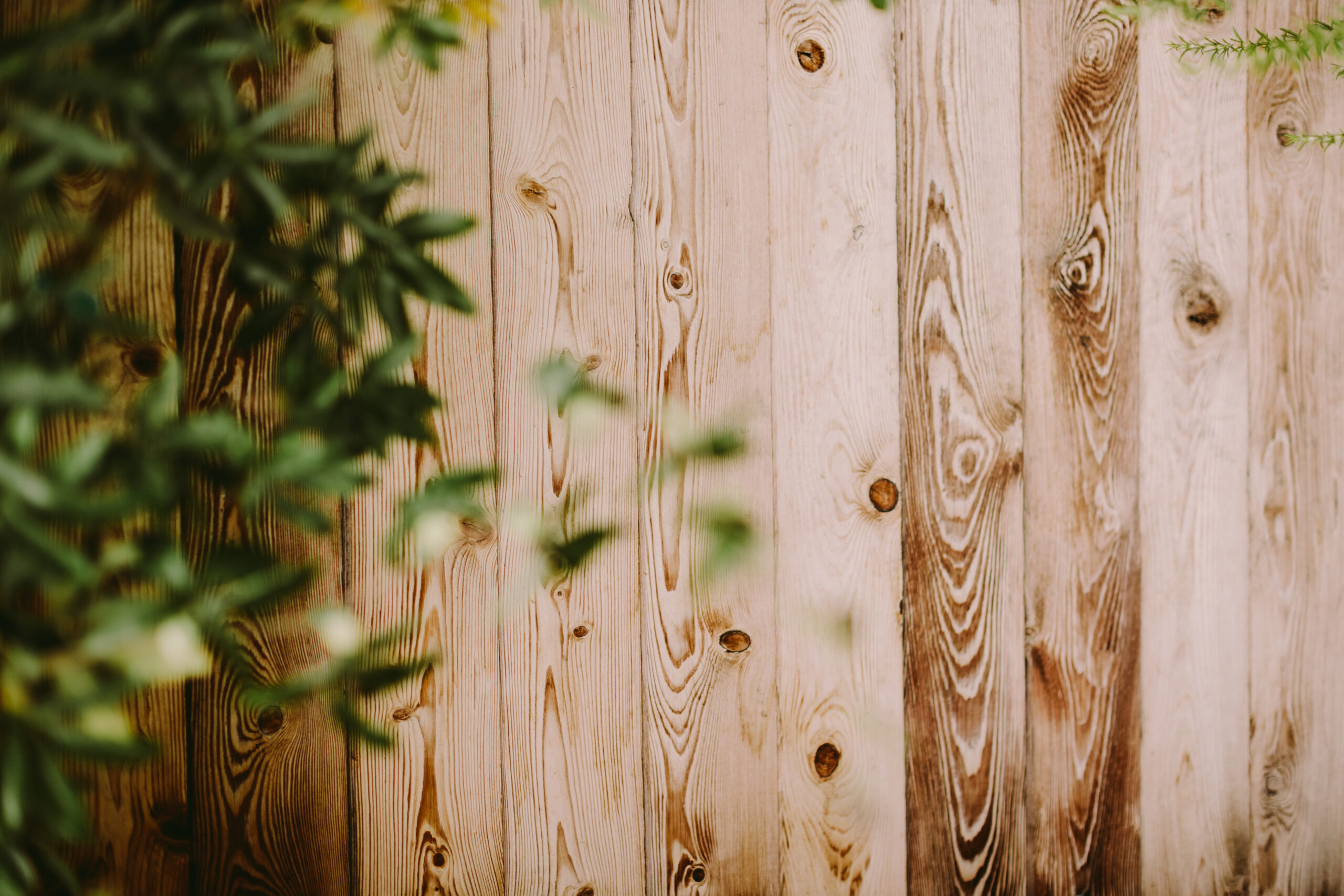 Wooden Fence Texture