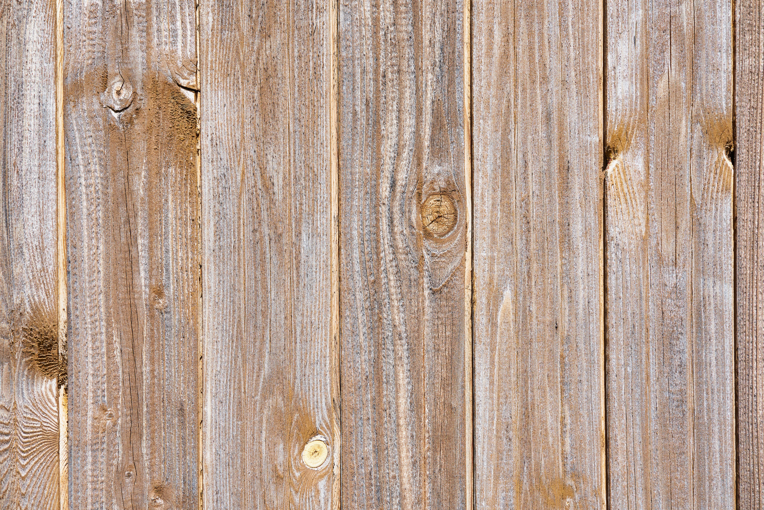 Wooden Fence Texture