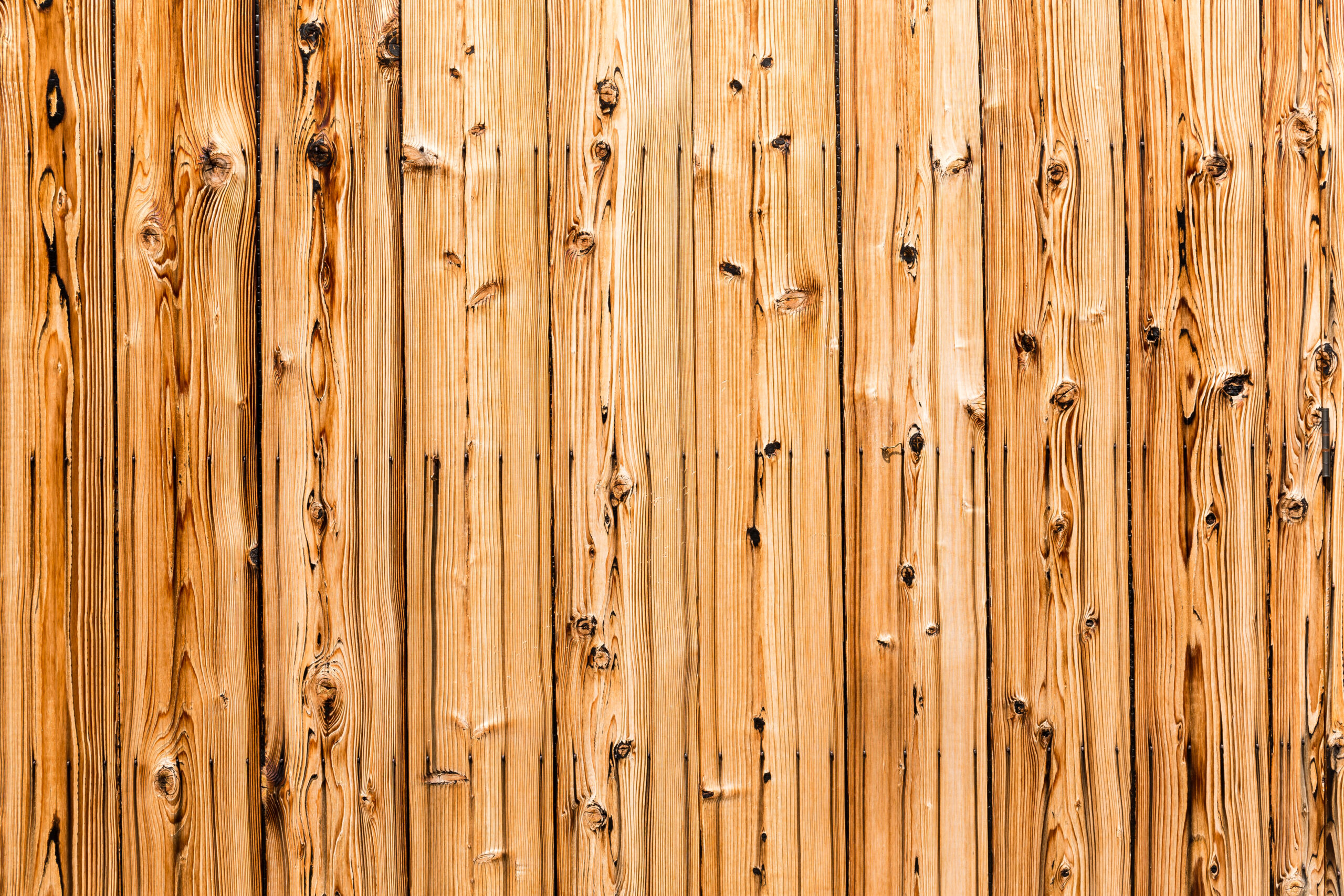 Wooden Fence Texture